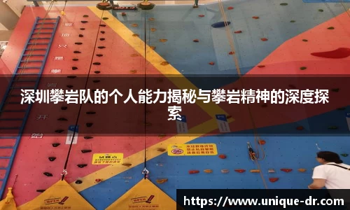 深圳攀岩队的个人能力揭秘与攀岩精神的深度探索