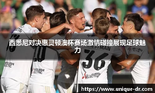 西悉尼对决惠灵顿澳杯赛场激情碰撞展现足球魅力